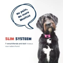 Anti Blafband - Blafband Voor Honden - Anti Blaf Apparaat - Blafband - Diervriendelijk & Zonder Schok 14 Anti Blafband - Blafband Voor Honden - Anti Blaf Apparaat - Blafband - Diervriendelijk & Zonder Schok -Hondenbenodigdheden Winkel 1200x1200 16