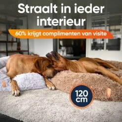 Happysnoots Hondenmand Met Rits - 80cm - Hondenbed - Donut Dog Bed - Fluffy - Grijs - Wasbaar 17 Happysnoots Hondenmand Met Rits - 80cm - Hondenbed - Donut Dog Bed - Fluffy - Grijs - Wasbaar -Hondenbenodigdheden Winkel 1200x1200 172