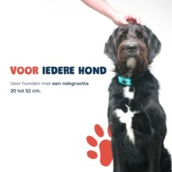 Anti Blafband - Blafband Voor Honden - Anti Blaf Apparaat - Blafband - Diervriendelijk & Zonder Schok 16 Anti Blafband - Blafband Voor Honden - Anti Blaf Apparaat - Blafband - Diervriendelijk & Zonder Schok -Hondenbenodigdheden Winkel 1200x1200 18