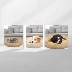 Peaceful Pooch S - Pluizig Hondenbed - 58cm Diameter - Opvouwbaar - In Verschillende Maten. Kattenbed - Wasbaar - Uitneembare Vulling - Ontspant Gewrichten En Spieren - Anti-slip Noppenbodem 8 Peaceful Pooch S - Pluizig Hondenbed - 58cm Diameter - Opvouwbaar - In Verschillende Maten. Kattenbed - Wasbaar - Uitneembare Vulling - Ontspant Gewrichten En Spieren - Anti-slip Noppenbodem -Hondenbenodigdheden Winkel 1200x1200 200