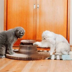 District 70 MAZE 3-in-1 Opvouwbare Kartonnen Kattenmand - Inclusief Catnip Balletje - Voor Slapen, Spelen En Krabben! -Hondenbenodigdheden Winkel 1200x1200 204