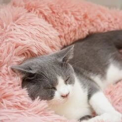 Topmast Fluffy Donut - Dierenmand - Donut Hondenmand - Roze - 50 Cm -Hondenbenodigdheden Winkel 1200x1200 215