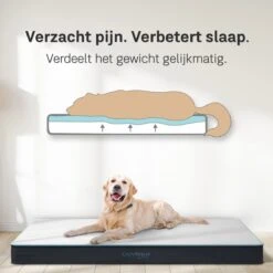 CozySense® - Orthopedisch Hondenkussen - Hondenkussen 75 X 45 Cm - Ook Geschikt Als Benchkussen & Hondenbed - Hondenkussen Bank - Traagschuim - Waterdicht - Wasbare Hoes - Maat M 10 CozySense® - Orthopedisch Hondenkussen - Hondenkussen 75 X 45 Cm - Ook Geschikt Als Benchkussen & Hondenbed - Hondenkussen Bank - Traagschuim - Waterdicht - Wasbare Hoes - Maat M -Hondenbenodigdheden Winkel 1200x1200 237