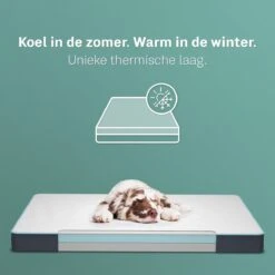 CozySense® - Orthopedisch Hondenkussen - Hondenkussen 75 X 45 Cm - Ook Geschikt Als Benchkussen & Hondenbed - Hondenkussen Bank - Traagschuim - Waterdicht - Wasbare Hoes - Maat M 11 CozySense® - Orthopedisch Hondenkussen - Hondenkussen 75 X 45 Cm - Ook Geschikt Als Benchkussen & Hondenbed - Hondenkussen Bank - Traagschuim - Waterdicht - Wasbare Hoes - Maat M -Hondenbenodigdheden Winkel 1200x1200 238