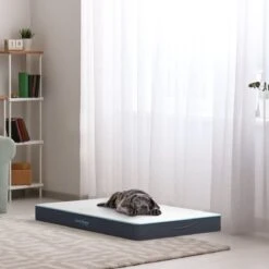 CozySense® - Orthopedisch Hondenkussen - Hondenkussen 75 X 45 Cm - Ook Geschikt Als Benchkussen & Hondenbed - Hondenkussen Bank - Traagschuim - Waterdicht - Wasbare Hoes - Maat M 13 CozySense® - Orthopedisch Hondenkussen - Hondenkussen 75 X 45 Cm - Ook Geschikt Als Benchkussen & Hondenbed - Hondenkussen Bank - Traagschuim - Waterdicht - Wasbare Hoes - Maat M -Hondenbenodigdheden Winkel 1200x1200 240