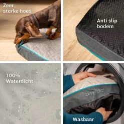 CozySense® - Orthopedisch Hondenkussen - Hondenkussen 75 X 45 Cm - Ook Geschikt Als Benchkussen & Hondenbed - Hondenkussen Bank - Traagschuim - Waterdicht - Wasbare Hoes - Maat M 14 CozySense® - Orthopedisch Hondenkussen - Hondenkussen 75 X 45 Cm - Ook Geschikt Als Benchkussen & Hondenbed - Hondenkussen Bank - Traagschuim - Waterdicht - Wasbare Hoes - Maat M -Hondenbenodigdheden Winkel 1200x1200 241