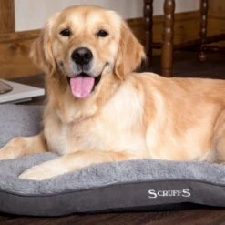 Scruffs Cosy - Comfortabel Hondenkussen In Grijs, Beige Of Karamel - Met Imitatie Suède Buitenvoering En Superzachte Binnenvoering - 100 X 70 Cm - Grijs 24 Scruffs Cosy - Comfortabel Hondenkussen In Grijs, Beige Of Karamel - Met Imitatie Suède Buitenvoering En Superzachte Binnenvoering - 100 X 70 Cm - Grijs -Hondenbenodigdheden Winkel 1200x1200 257