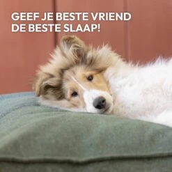 Snoozle Orthopedische Hondenmand - Zacht En Luxe Hondenkussen - Hondenbed - Wasbaar - Hondenmanden - 100 X 70 Cm - Groen -Hondenbenodigdheden Winkel 1200x1200 264