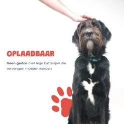 Anti Blafband - Blafband Voor Honden - Oplaadbaar - Anti Blaf Apparaat - Blafband - Diervriendelijk -Hondenbenodigdheden Winkel 1200x1200 27