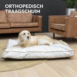 Snoozle Orthopedische Hondenmand - Zacht En Luxe Hondenkussen - Hondenbed - Wasbaar - Hondenmanden - 120 X 90 Cm - Groen -Hondenbenodigdheden Winkel 1200x1200 279