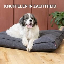 Snoozle Orthopedische Hondenmand - Zacht En Luxe Hondenkussen - Hondenbed - Wasbaar - Hondenmanden - 120 X 90 Cm - Groen -Hondenbenodigdheden Winkel 1200x1200 281