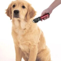 Merkloos Hondentondeuse, Hundeschermaschine / Dog Clippers - Dierenhaartrimmer, Hondentondeuse Kit Hond Verzorging -Hondenbenodigdheden Winkel 1200x1200 285
