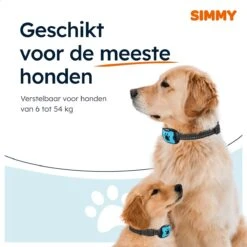Simmy Anti Blafband - Diervriendelijke Opvoedingshalsband - Zwart En Blauw - Diervriendelijk - Zonder Schok - Anti Blaf Band Voor Grote En Kleine Honden -Hondenbenodigdheden Winkel 1200x1200 41