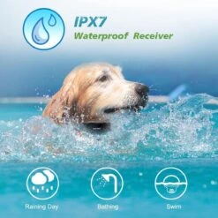 Anti Blafband EN Trainingshalsband In 1 - UNIEK SYSTEEM - 1000m Bereik - 100 Levels -Hondenbenodigdheden Winkel 1200x1200 52