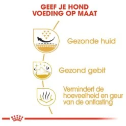 Royal Canin Shih Tzu Adult 7.5 KG -Hondenbenodigdheden Winkel 1200x1200 58