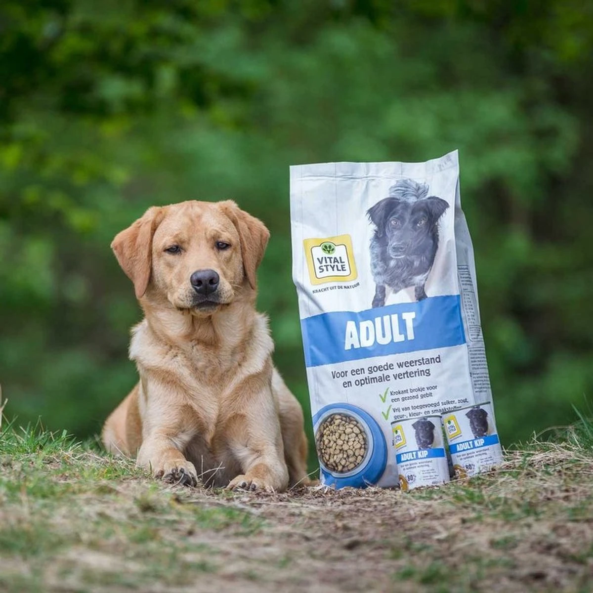 VITALstyle ADULT - Hondenbrokken - 12 Kg 2 VITALstyle ADULT - Hondenbrokken - 12 Kg - Afbeelding 2