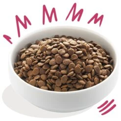 Edgard & Cooper Verse Hert & Scharreleend Adult - Hondenvoer - 12 Kg -Hondenbenodigdheden Winkel 1200x1200 81