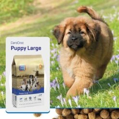 Carocroc Puppy Large Breed 15 KG 20 Carocroc Puppy Large Breed 15 KG -Hondenbenodigdheden Winkel 1200x1200 96