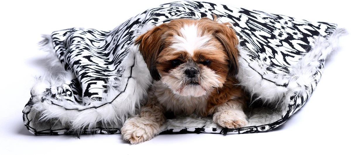 Dogs&Co Honden Slaapzak Ethnic 70x50cm Zwart/wit - Hondenslaapzak - Kattenslaapzak - Geschikt Voor Honden Of Katten T/m 10KG 1 Dogs&Co Honden Slaapzak Ethnic 70x50cm Zwart/wit - Hondenslaapzak - Kattenslaapzak - Geschikt Voor Honden Of Katten T/m 10KG