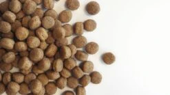 Carocroc Puppy Large Breed 15 KG 15 Carocroc Puppy Large Breed 15 KG -Hondenbenodigdheden Winkel 1200x675 1