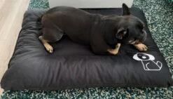 Hondenkussen XL - Donkergrijs - 60 X 90 X 12 -Hondenbenodigdheden Winkel 1200x685