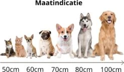 Behave Donut Hondenmand - Hondenkussen - Hondenbed - Kattenmand - Fluffy - Donut - 50cm - Beige 10 Behave Donut Hondenmand - Hondenkussen - Hondenbed - Kattenmand - Fluffy - Donut - 50cm - Beige -Hondenbenodigdheden Winkel 1200x706