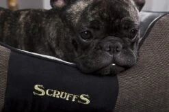 Hondenmand Zacht En Stevig, Anti-Slip En Wasbaar - Scruffs Chester Box Bed - In Grijs En Bruin In Maat S Tot XL - Kleur: Grijs, Maat: Large -Hondenbenodigdheden Winkel 1200x799 14