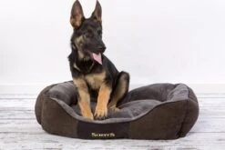 Hondenmand Zacht En Stevig, Anti-Slip En Wasbaar - Scruffs Chester Box Bed - In Grijs En Bruin In Maat S Tot XL - Kleur: Grijs, Maat: Large -Hondenbenodigdheden Winkel 1200x800 12