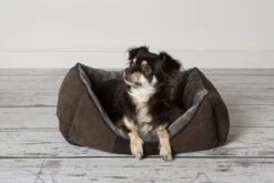 Hondenmand Zacht En Stevig, Anti-Slip En Wasbaar - Scruffs Chester Box Bed - In Grijs En Bruin In Maat S Tot XL - Kleur: Grijs, Maat: Large -Hondenbenodigdheden Winkel 1200x800 13