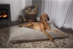 Scruffs Chateau - Hondenbed Orthopedisch Met Memory Foam Voor Extra Steun Voor Rug En Gewrichten - Grijs & Bruin Maat M/L - Kleur: Grijs, Maat: Medium -Hondenbenodigdheden Winkel 1200x811 1