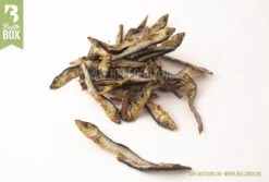 Bellobox - Beloningsbox - Hondensnacks - 100% Natuurlijk - Trainingssnacks - Cadeaubox -Hondenbenodigdheden Winkel 1200x811