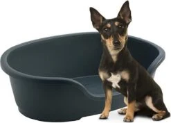 Flamingo - Hondenmand Domus - S - Zwart - 50/58 X 38 X 20 Cm -Hondenbenodigdheden Winkel 1200x861