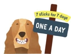 Edgard & Cooper Doggy Dental Sticks Appel - Eucalyptusolie Medium -Hondenbenodigdheden Winkel 1200x908