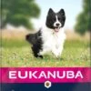 Eukanuba Dog Adult Small/Medium Breed Lamb / Rice - 12 KG