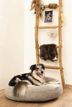 Beeztees Orthopedische Hondenmand Jaxx Grijs 70 Cm - Hond -Hondenbenodigdheden Winkel 801x1200 1