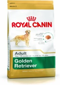 Royal Canin Golden Retriever 12 KG -Hondenbenodigdheden Winkel 848x1200