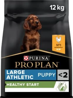 Pro Plan Healthy Start Puppy Large Athletic - Honden Droogvoer - Kip - 12 Kg -Hondenbenodigdheden Winkel 895x1200