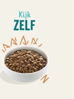 Edgard & Cooper Verse Scharrelkip Adult - Hondenvoer - 7kg -Hondenbenodigdheden Winkel 897x1200