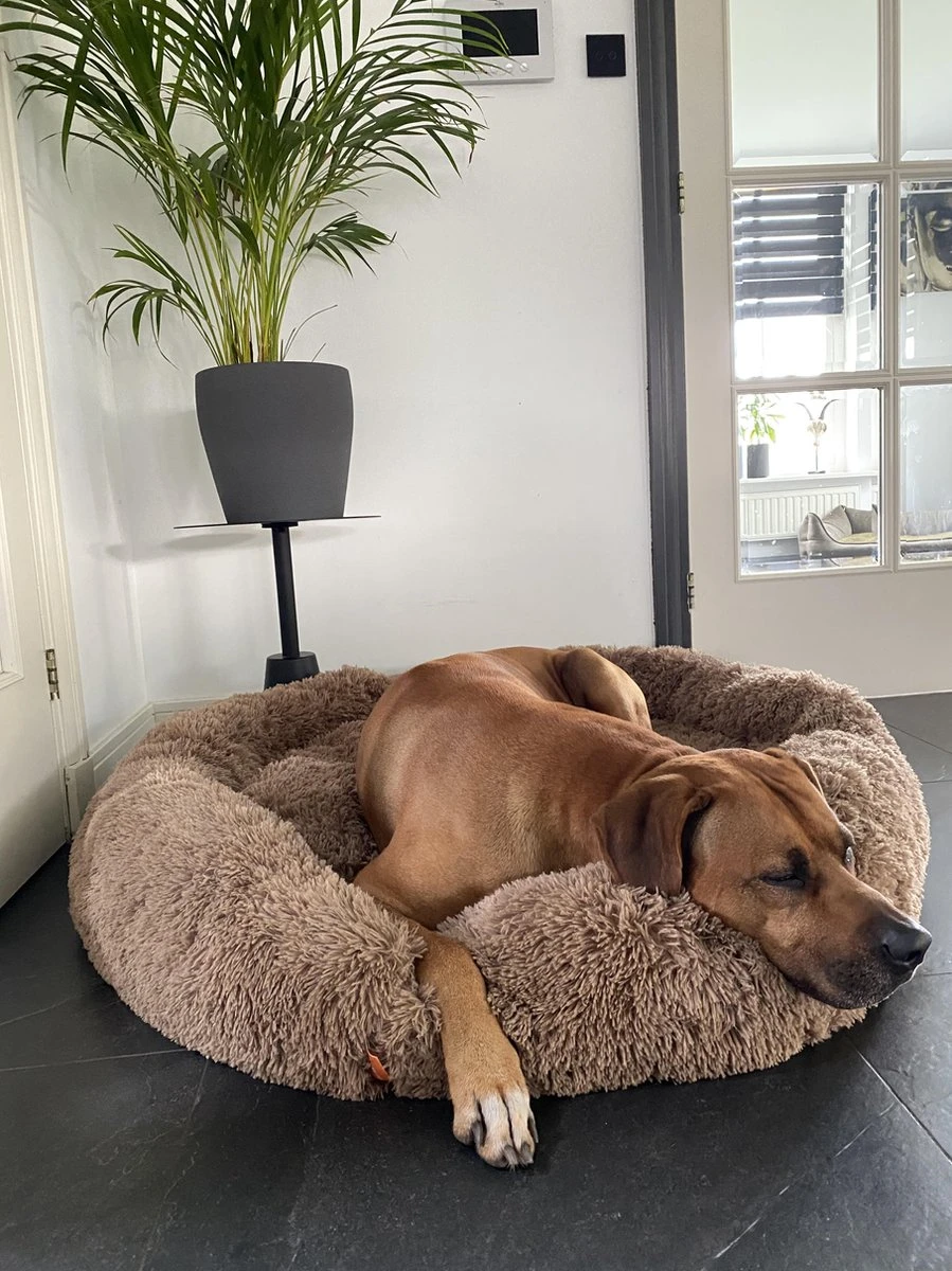Happysnoots Hondenmand Met Rits - 80cm - Hondenbed - Donut Dog Bed - Fluffy - Grijs - Wasbaar 14 Happysnoots Hondenmand Met Rits - 80cm - Hondenbed - Donut Dog Bed - Fluffy - Grijs - Wasbaar - Afbeelding 14
