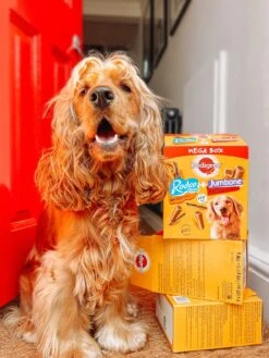 Pedigree Megabox Hondensnacks - 24 X Rodeo En 4 X Jumbone - 780 Gr -Hondenbenodigdheden Winkel 900x1200 3