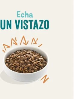 Edgard & Cooper Verse Scharrelkip Adult - Hondenvoer - 7kg -Hondenbenodigdheden Winkel 900x1200 4