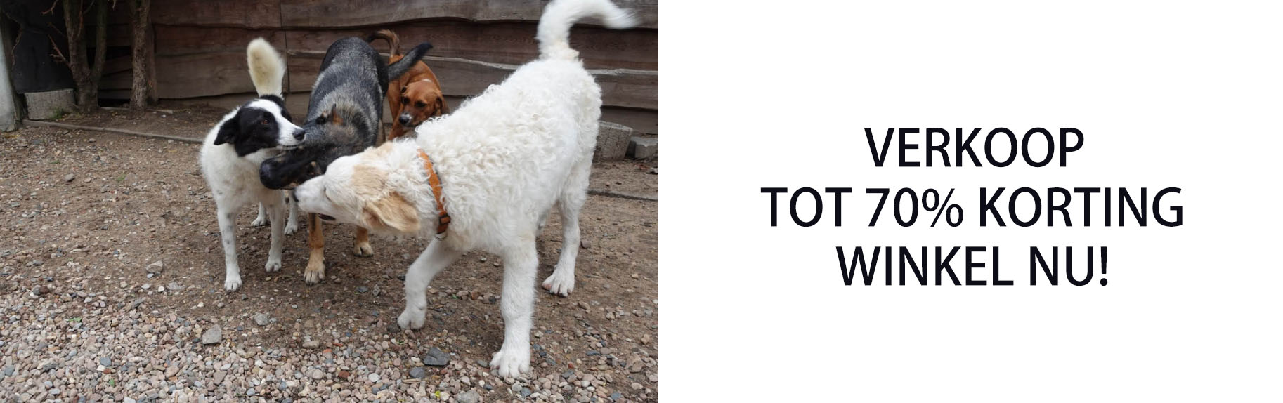 Hondenbenodigdheden Winkel -Hondenbenodigdheden Winkel DFGDFG