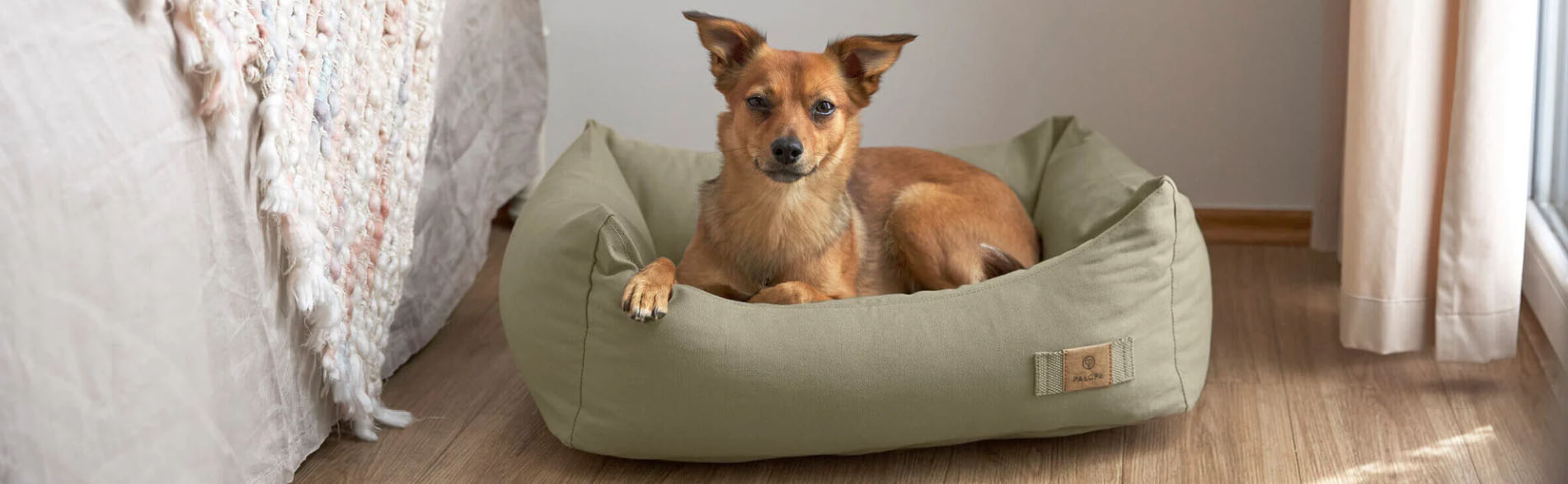 Hondenbenodigdheden Winkel -Hondenbenodigdheden Winkel FGHFGH